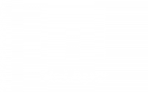 Aptira Client Logos - NetApp