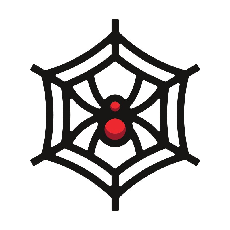 OpenStack Troubleshooting - A Quick Study Guide for the COA Exam: Neutron Spider Web