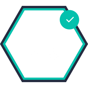 Aptira Hexagon Icon