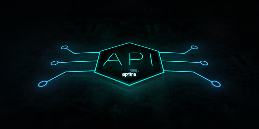 Aptira Generic API Translation