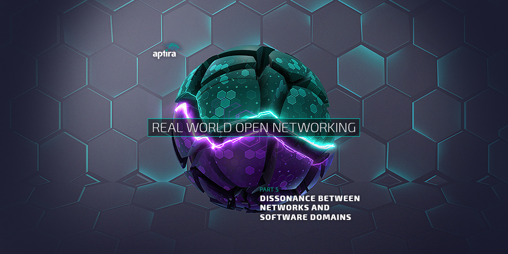 Real-World Open Networking. Part 5: Dissonance between Networks and Software Domains