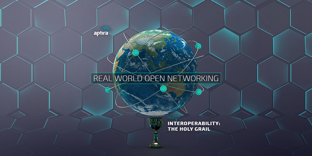 Real-world Open Networking. Part 2 – Interoperability: The Holy Grail